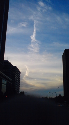 f0207969_1730555.jpg