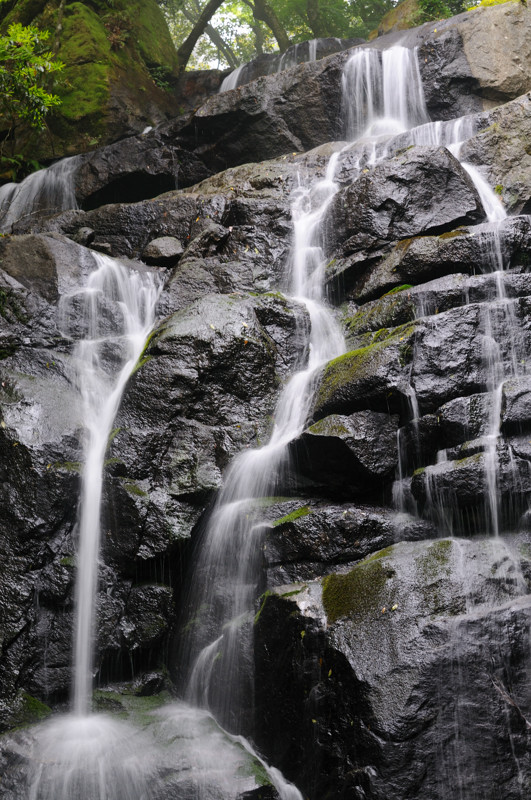 f0150672_0442173.jpg