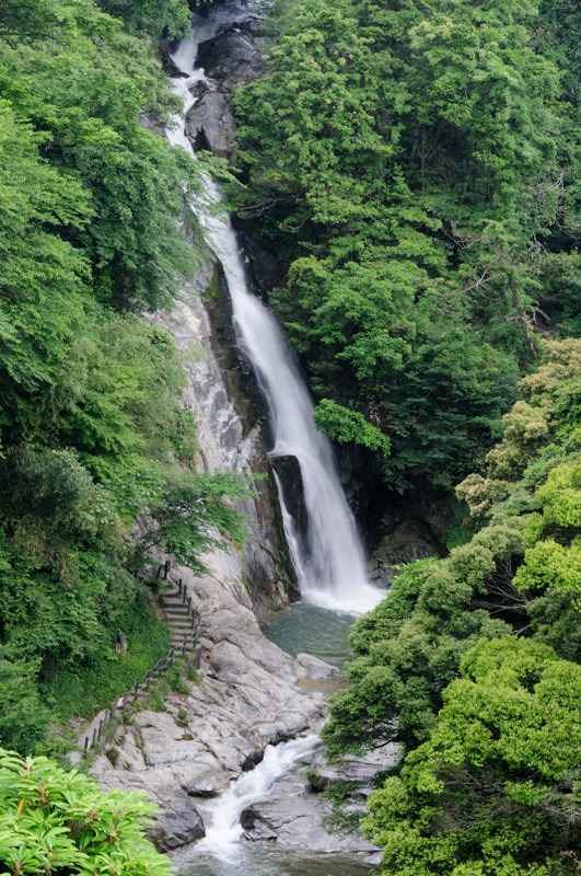 f0150672_22485190.jpg