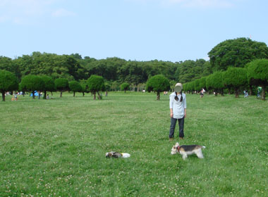 b0091373_1423936.jpg