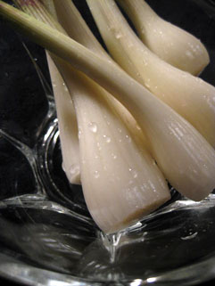 f0056476_1628526.jpg