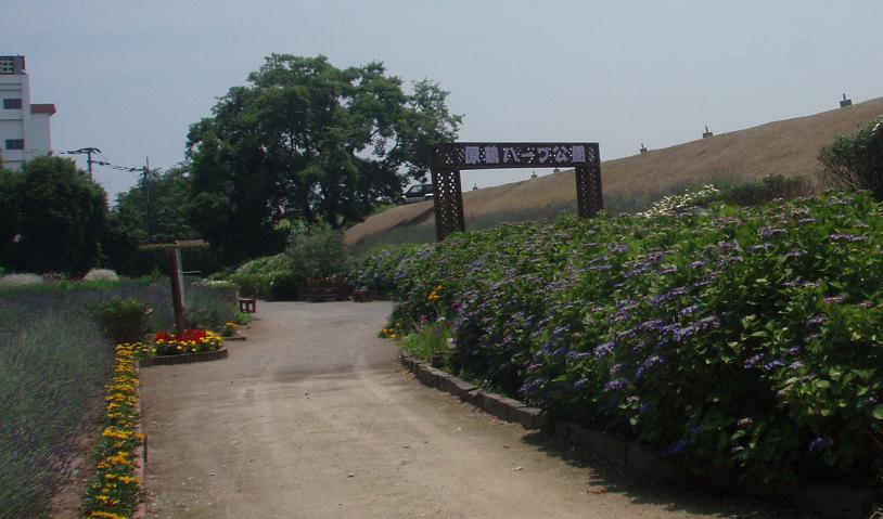 f0101679_22224.jpg