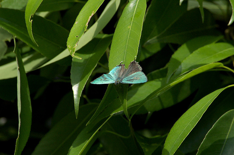 f0090680_2395958.jpg
