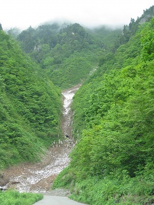 a0038882_13183818.jpg