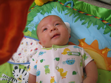 f0068883_1583936.jpg
