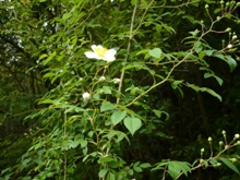 f0047884_16491616.jpg