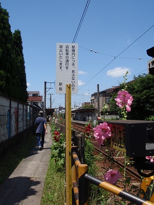c0105785_10552694.jpg