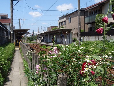 c0105785_1102967.jpg
