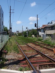 c0105785_1142838.jpg