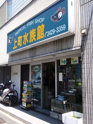 c0105785_14524151.jpg
