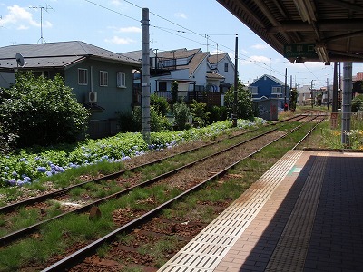 c0105785_1526627.jpg