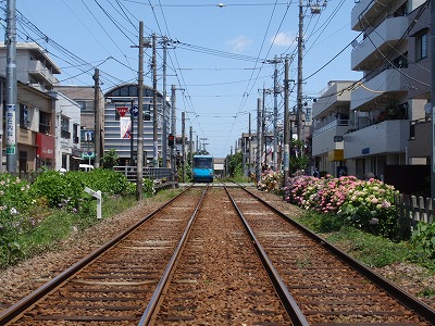 c0105785_15393876.jpg