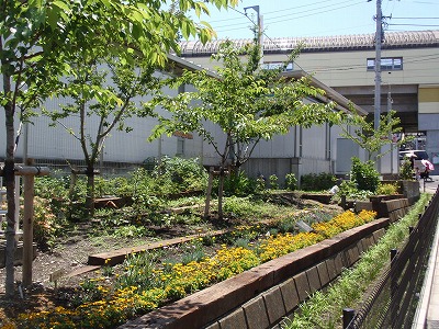 c0105785_15501370.jpg