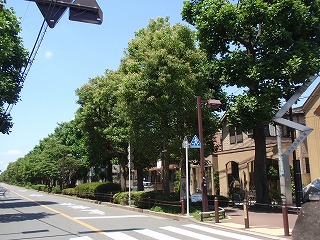 c0105785_15554140.jpg