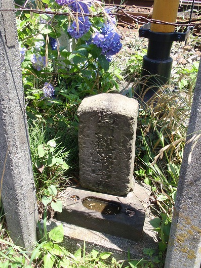c0105785_1559242.jpg