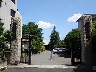 c0105785_9584882.jpg