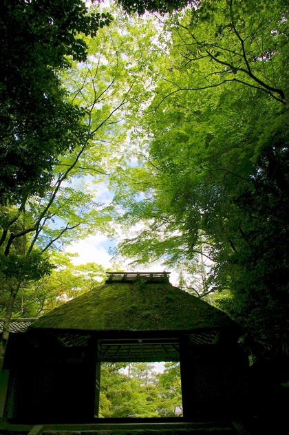 b0080789_1354818.jpg
