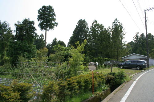 d0144092_1438443.jpg