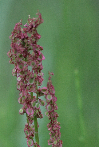 d0133693_20511697.jpg