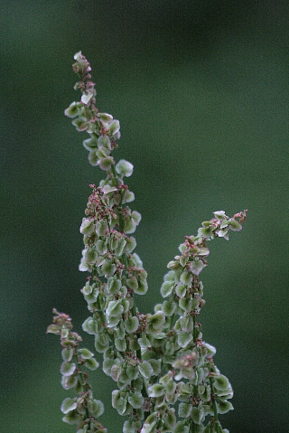 d0133693_20524517.jpg