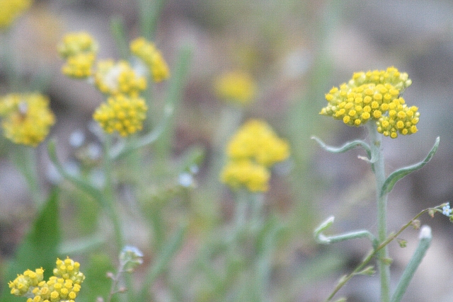 d0133693_2115349.jpg