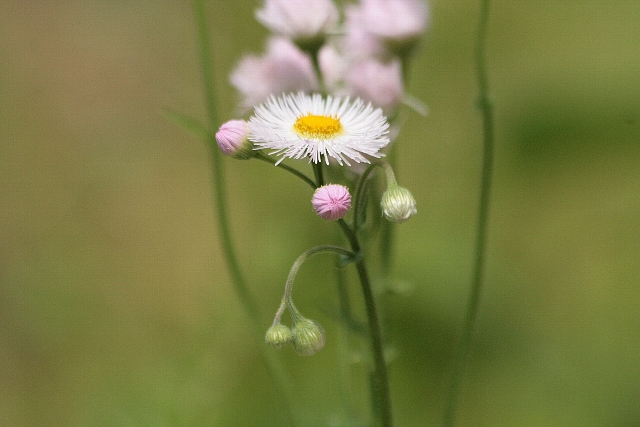 d0133693_2123983.jpg
