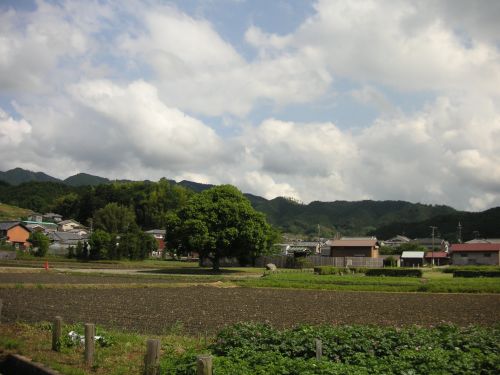 d0115997_1529662.jpg