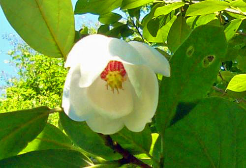 a0097298_144571.jpg