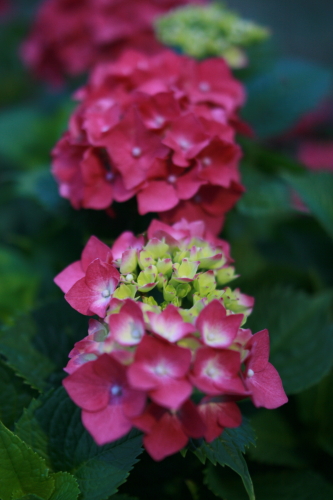 c0129498_14594430.jpg