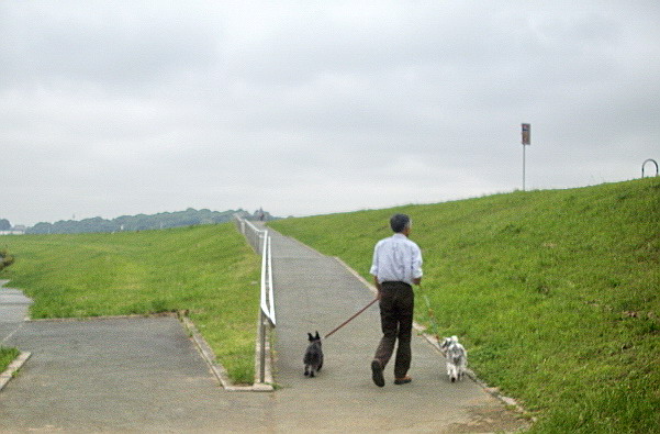 c0138198_1733116.jpg