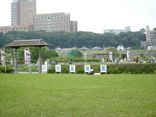 c0138198_17361238.jpg
