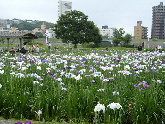 c0138198_17432580.jpg