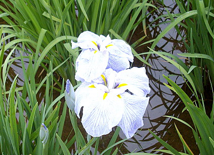 c0138198_17454083.jpg