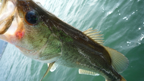 c0182098_656178.jpg