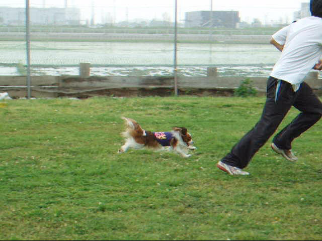c0044199_21421548.jpg