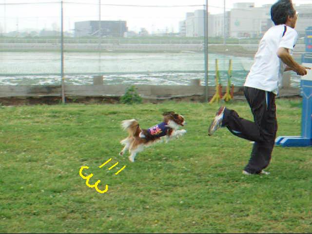 c0044199_22164750.jpg