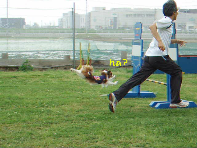 c0044199_22185993.jpg