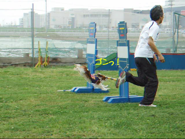 c0044199_2220122.jpg