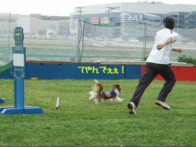 c0044199_22245050.jpg