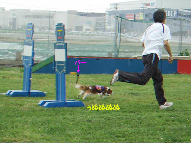 c0044199_22315551.jpg