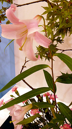 c0145299_224175.jpg