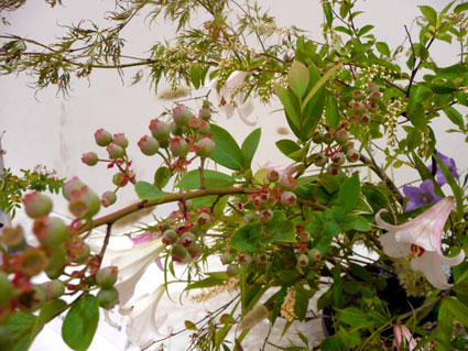 c0145299_262795.jpg
