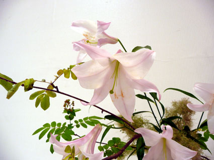 c0145299_27147.jpg