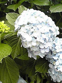 f0151905_1163252.jpg