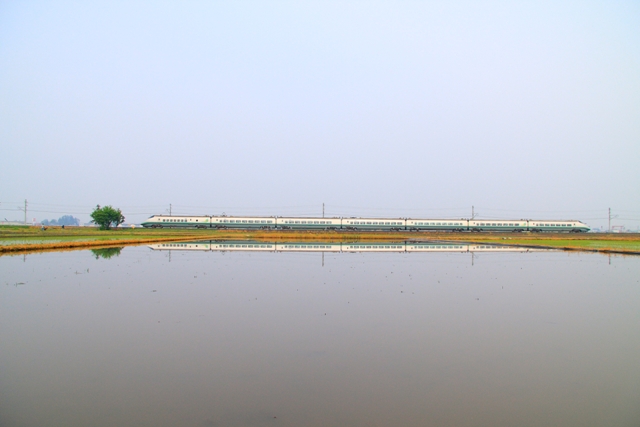b0180907_2310485.jpg