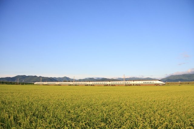 b0180907_23144156.jpg