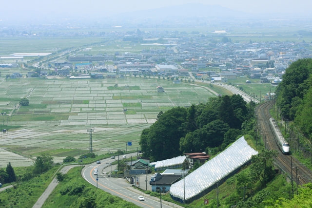 b0180907_2330969.jpg