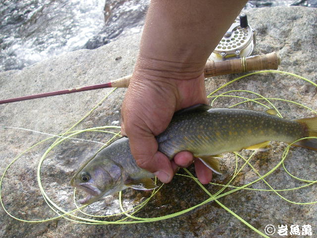 b0172209_21481118.jpg