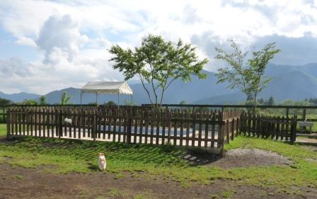 e0078510_14427.jpg