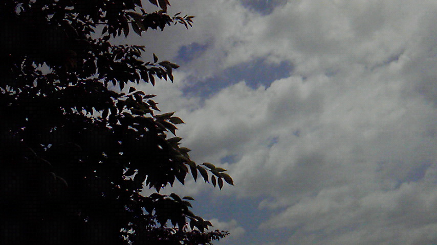f0054610_9594661.jpg